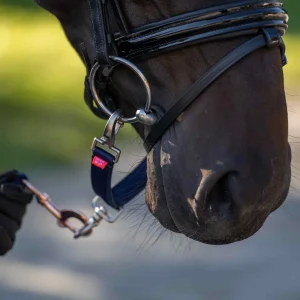 Lunging Riding Bit Strap Nylon, longerdelta i mängder med färger