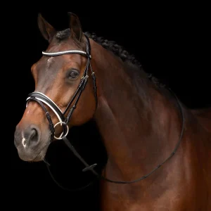 Bridle Legacy deluxe, träns med strass
