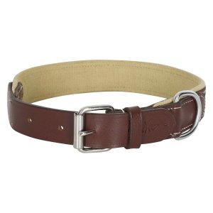 Dog Collar Iconic, hundhalsband klassisk stil