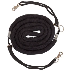 Lunging Assist, hjälpmedel vid longering