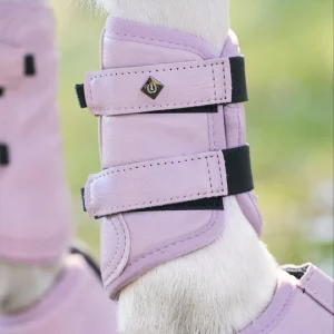 Brushing Boots Rebel, benskydd till de minsta hästarna