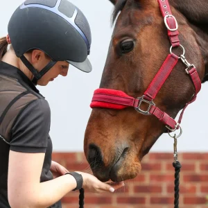 Stellar Style Safety Headcollar, återanvändbar säkerhetsgrimma