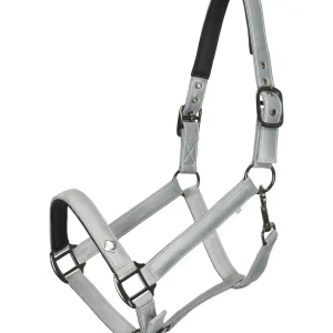 Headcollar Rebel, grimma shettis upp till storhäst