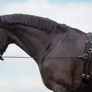 Bungie Training Reins, elastiska halsförlängare