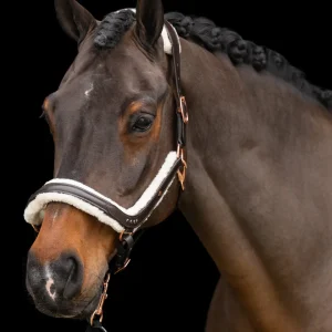 Headcollar Luxury, lädergrimma med vaddering