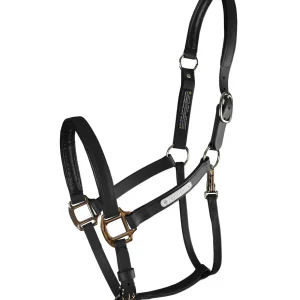 Stellar All Weather Headcollar, återanvändbar säkerhetsgrimma